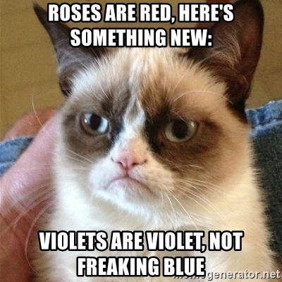 roses-are-red-heres-something-new-violets-are-violet-not-freaking-blue.jpg