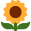 :sunflower: 🌻