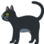 🐈⬛