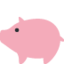 :pig2: ๐