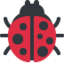 :ladybug: π