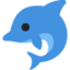 :dolphin: 🐬
