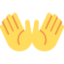 :open_hands: 👐