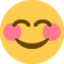 :blush: 😊