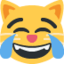 :joy_cat: 😹