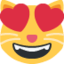:heart_eyes_cat: π»