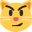 :smirk_cat: πΌ