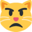 :pouting_cat: 😾