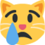 :crying_cat_face: 😿