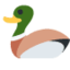 :duck: 🦆
