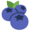 :blueberries: 🫐