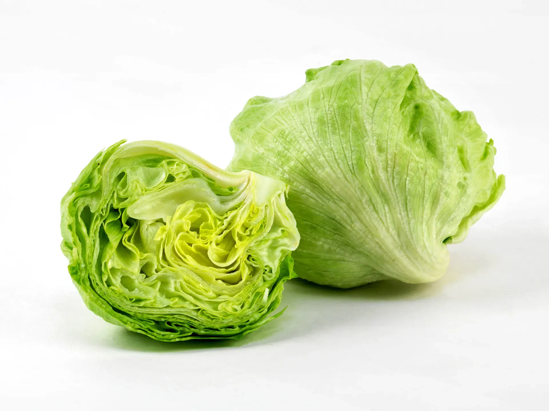 Rosner-Lettuce.webp
