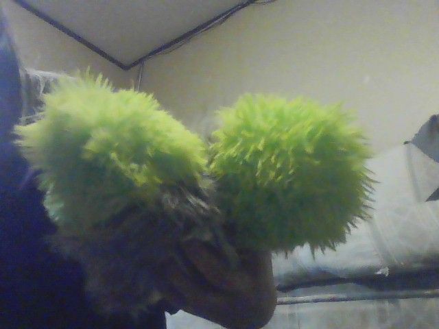 IMG_20221030_222024.jpg