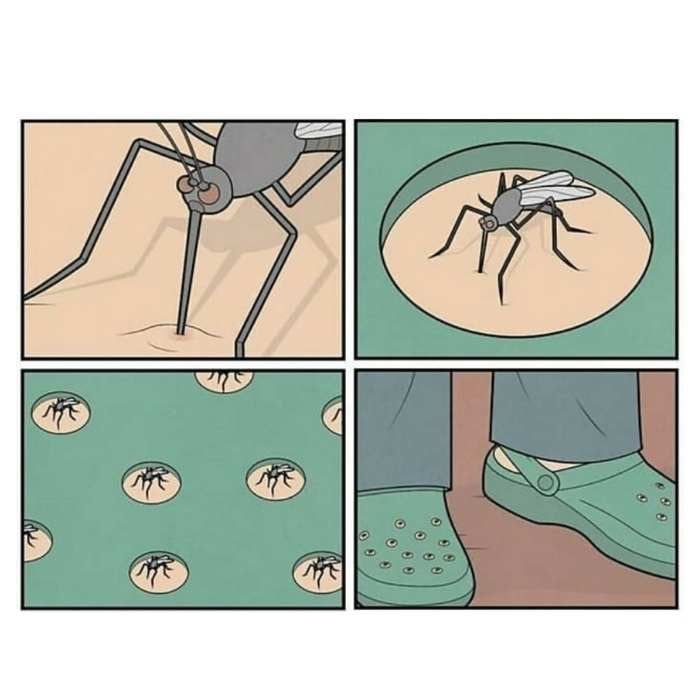 mosquito-crocs-meme.jpg