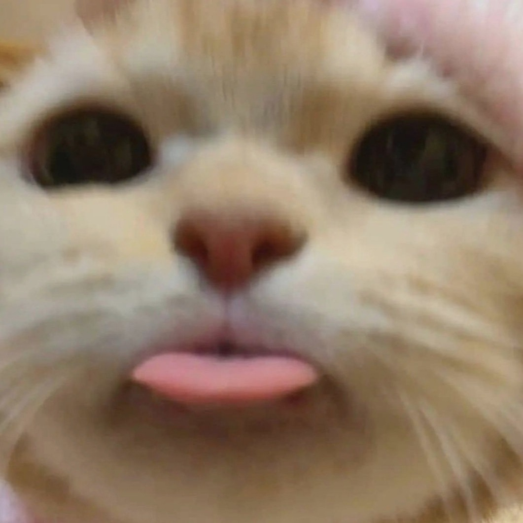 d21d7df8-1c3a-42bd-ac22-1b116acaa8b3-image.png