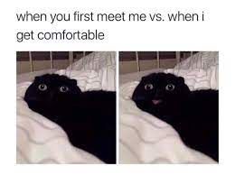images (16).jpeg