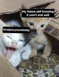 images (18).jpeg
