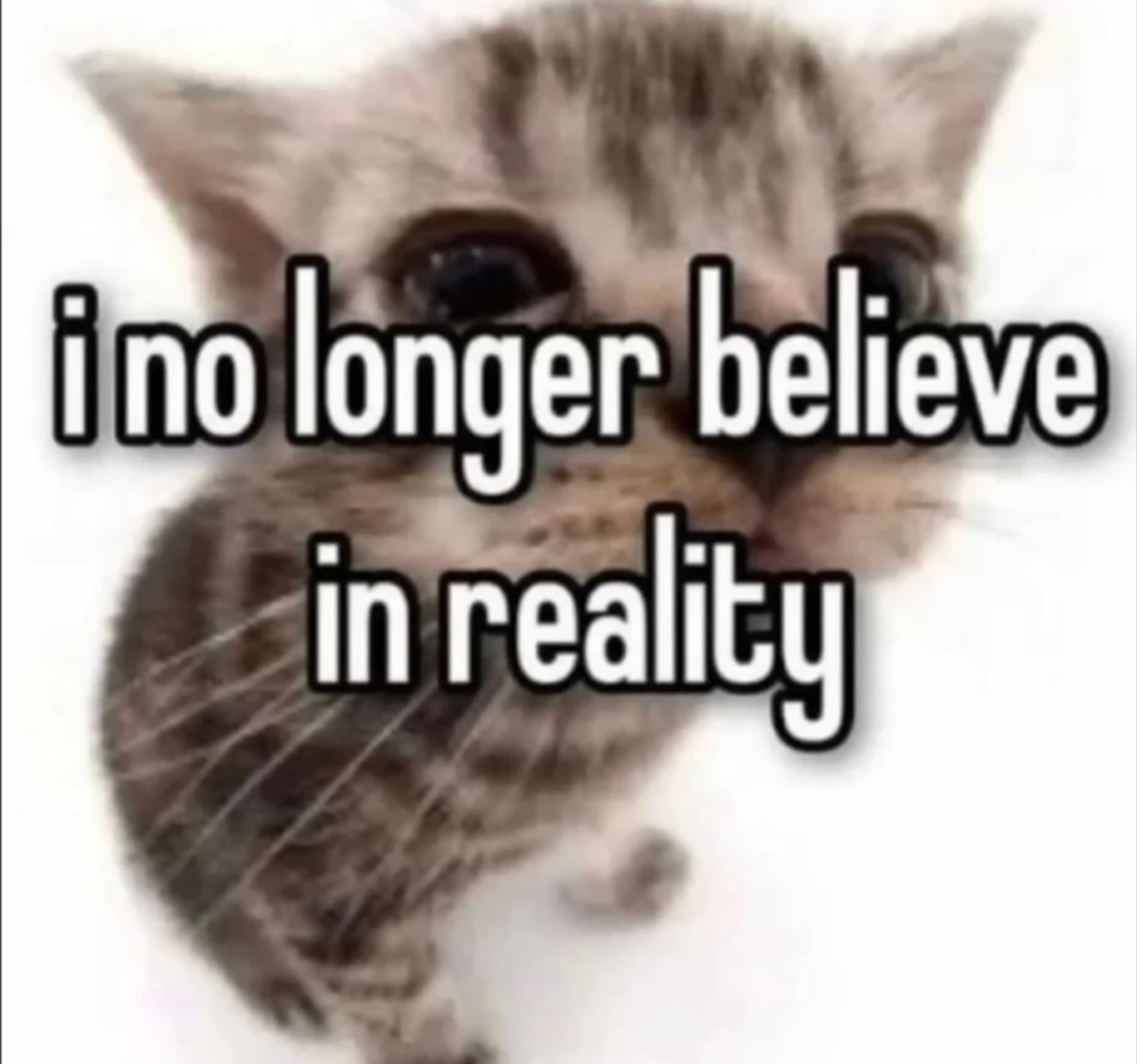 555C99B6-841D-48AA-829A-7980C219919F.jpeg