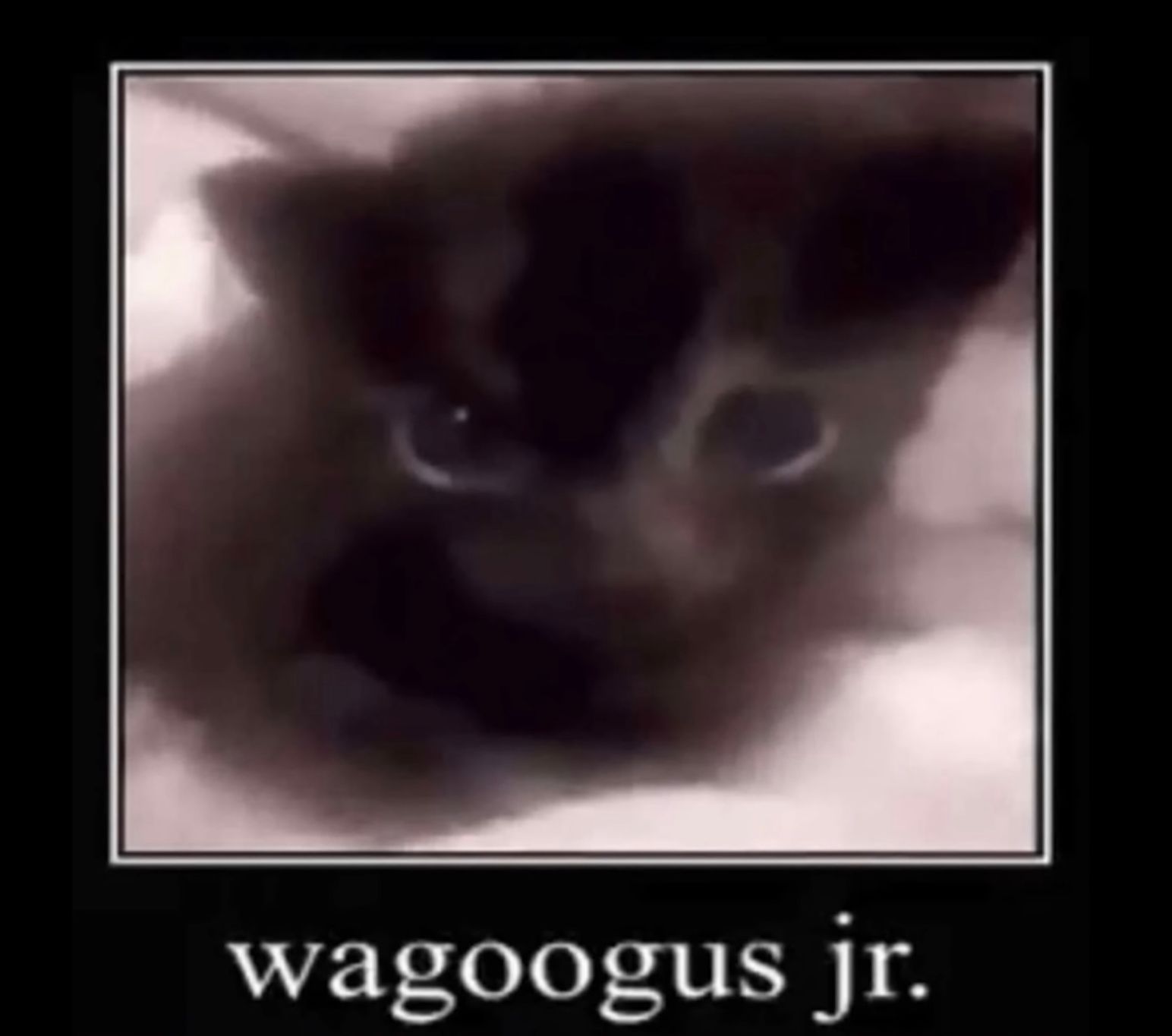 E53E1BA9-FCB6-4636-B4BD-7A0BE5B084E7.jpeg