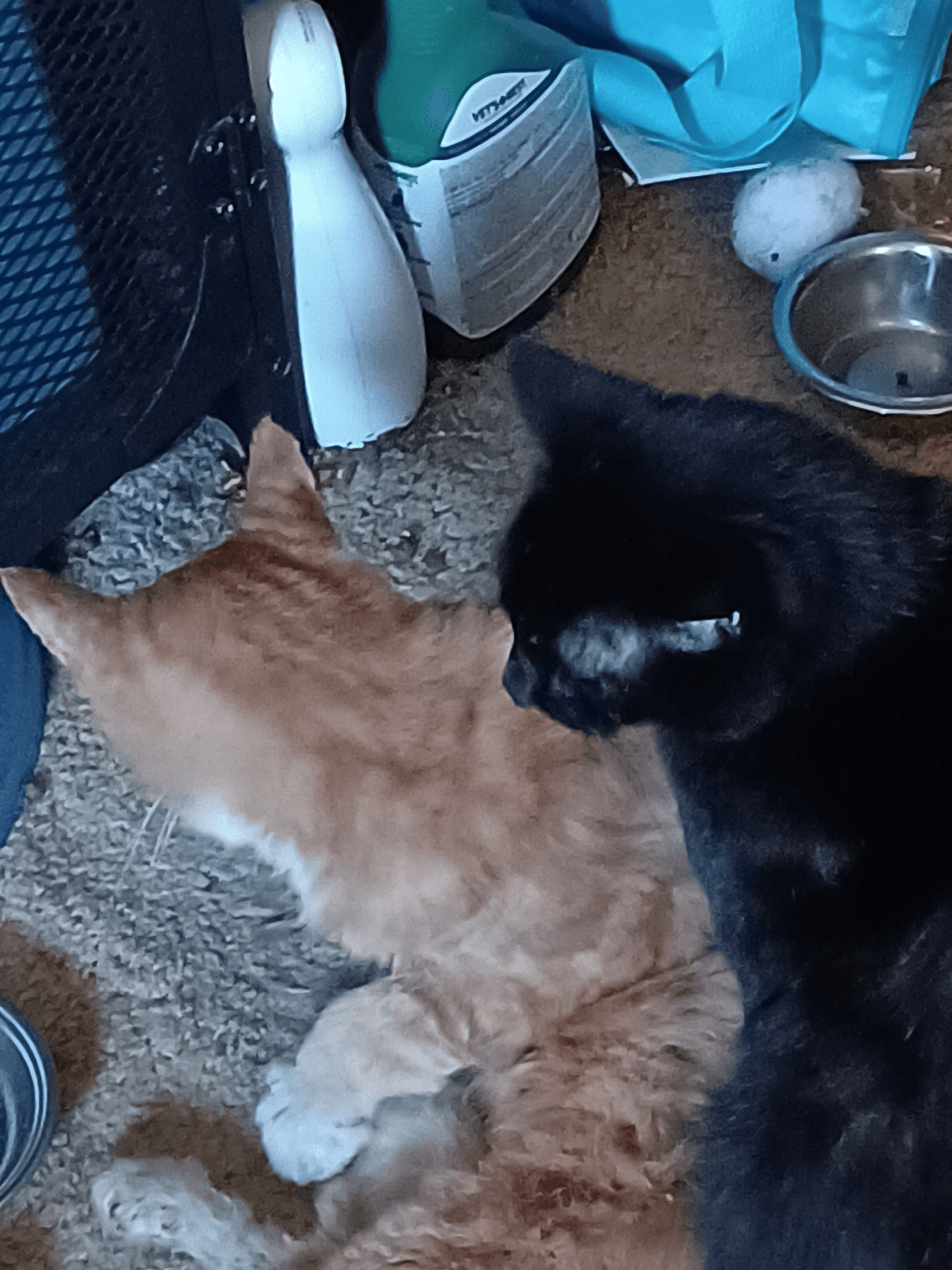 d7f23535-ed2d-4912-bfe5-cb4e782eed99-image.png