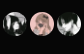 Screenshot 2022-12-19 4.38.40 PM.png