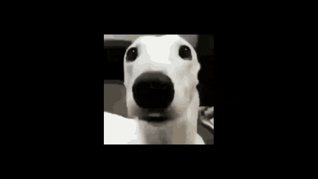 6365a4e6-4472-4a28-bd99-096e4278f709-image.png