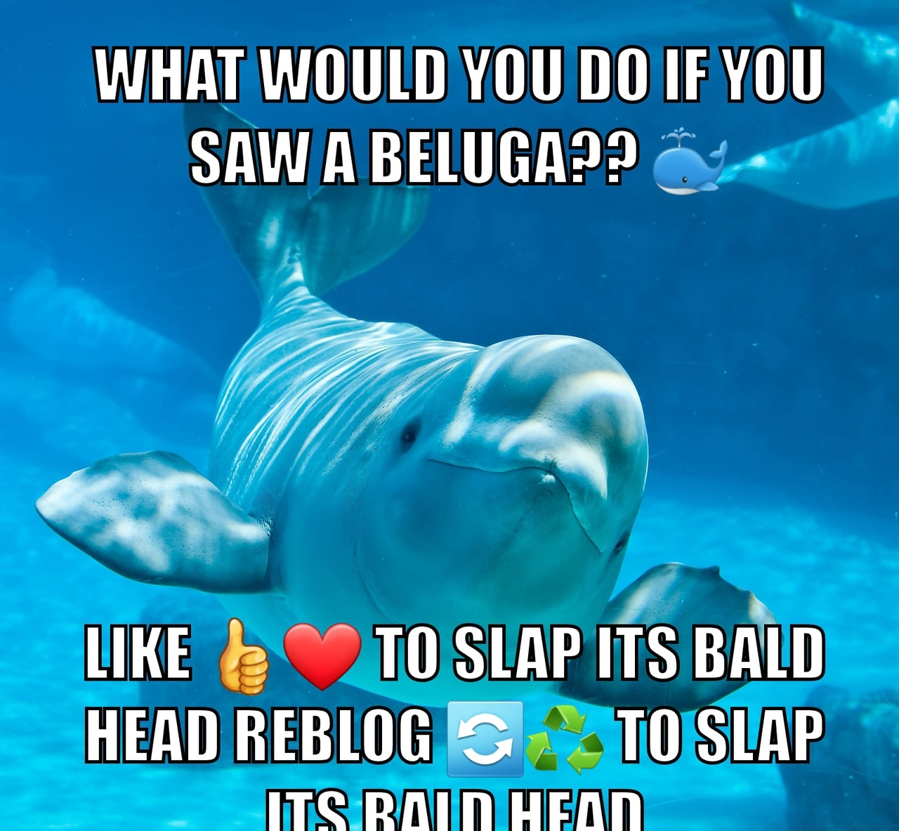 62cd01b6-c3fc-4b51-b713-0ba91b1445fb-image.png