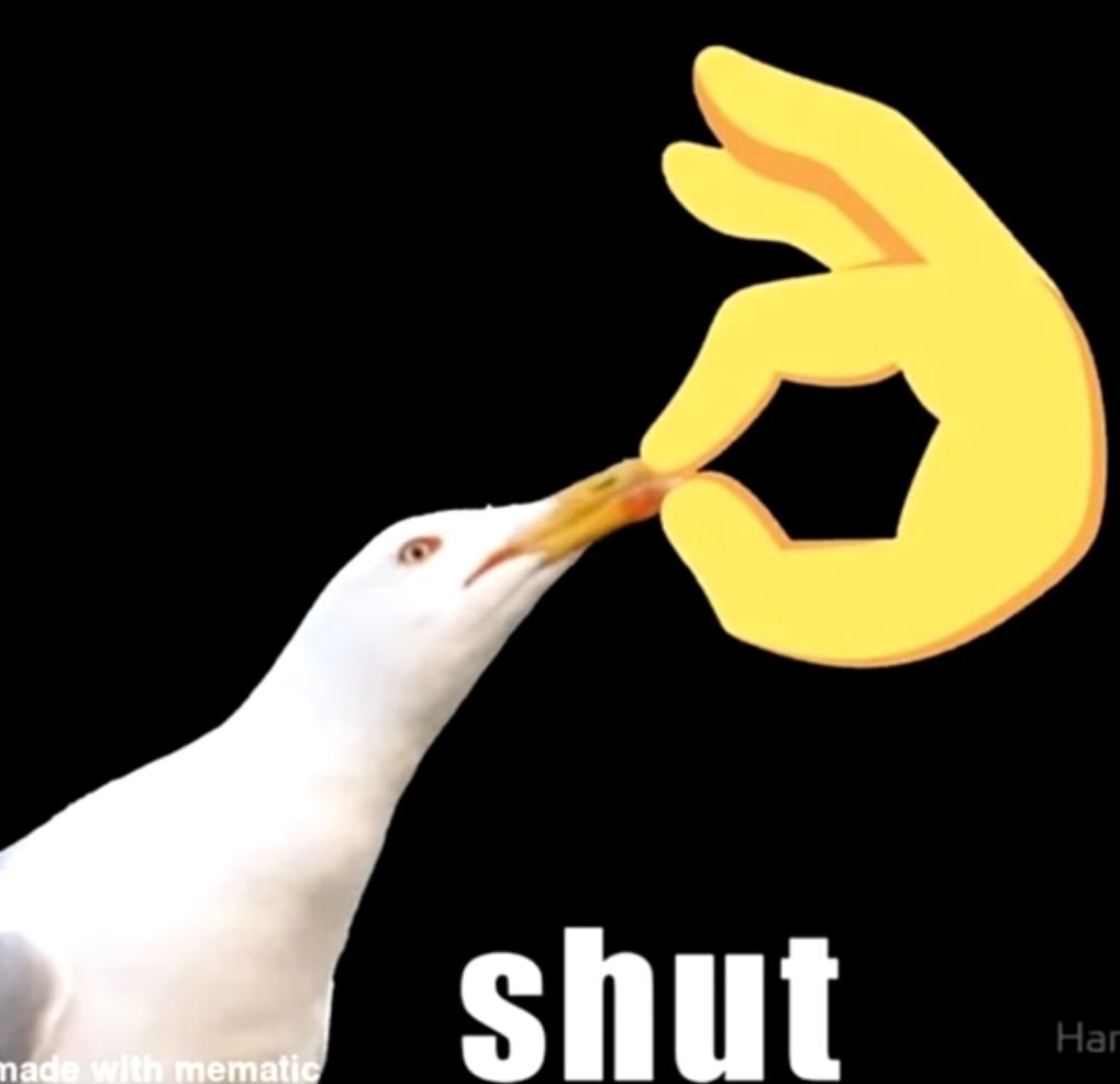 34FD3D20-9A30-4939-B81E-C247DA9761A4.jpeg
