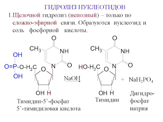 d96139a4-02ad-46e3-a80f-f30e5b9cd576-image.png