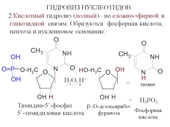 21427040-5702-47c5-a0c8-0a29f848141a-image.png