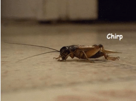 8c085932-7d04-43dc-97ec-6c6810b1aa12-image.png