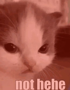 cc4559c0-f0d4-4b3e-9f7e-e71eb0cc45b2-image.png