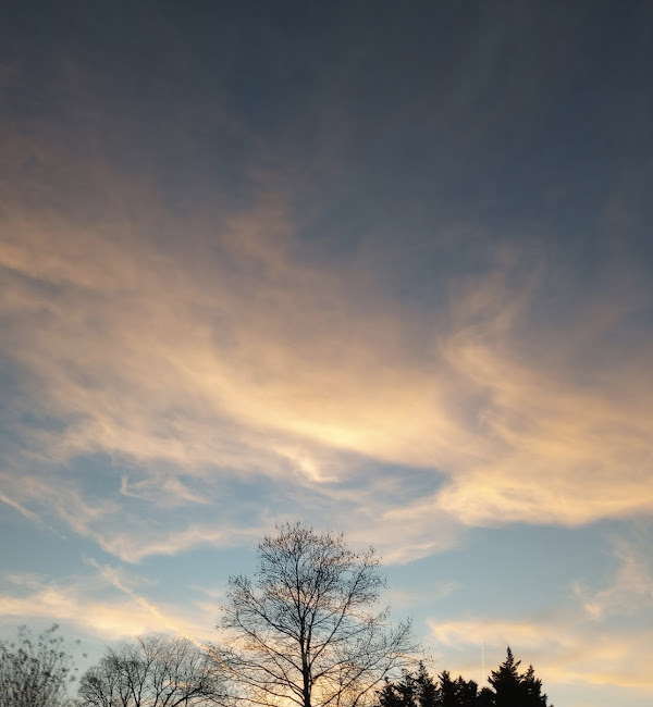 5aa47b8d-3cce-4b49-975a-0fa259e2a531-image.png