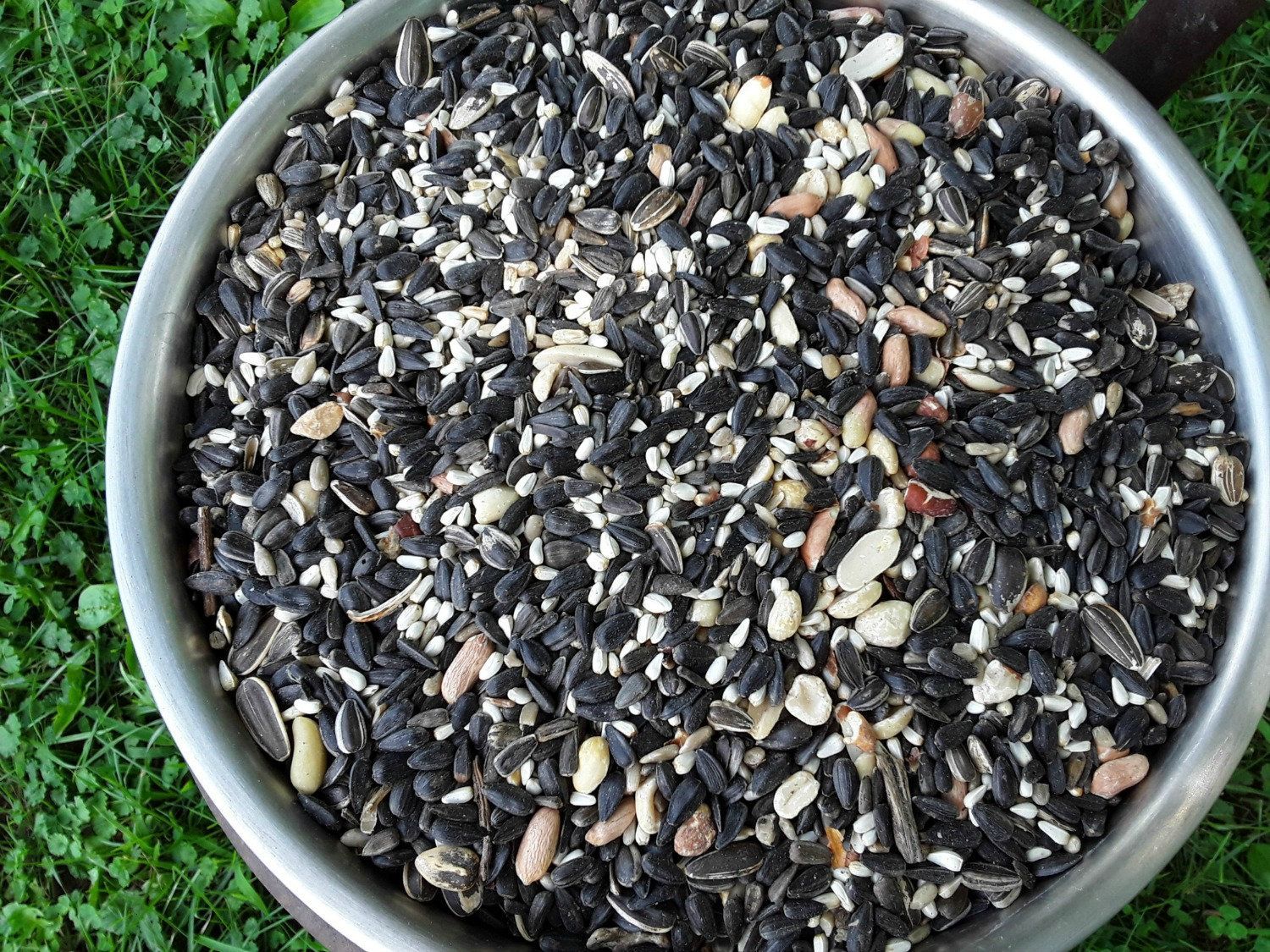 Wild Bird Seed _ Special Blend Premium Bird Food _ Locally Grown in the USA _ 5 lbs of Bird Seed _ Hand Packed.jpeg