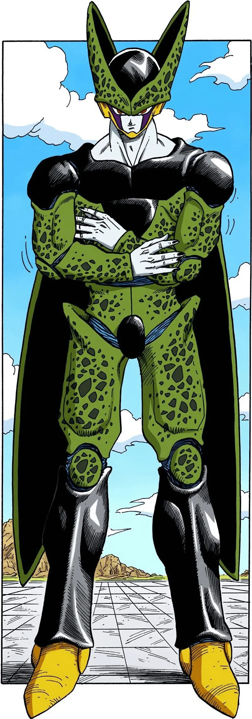 PCFullBodyColored.webp