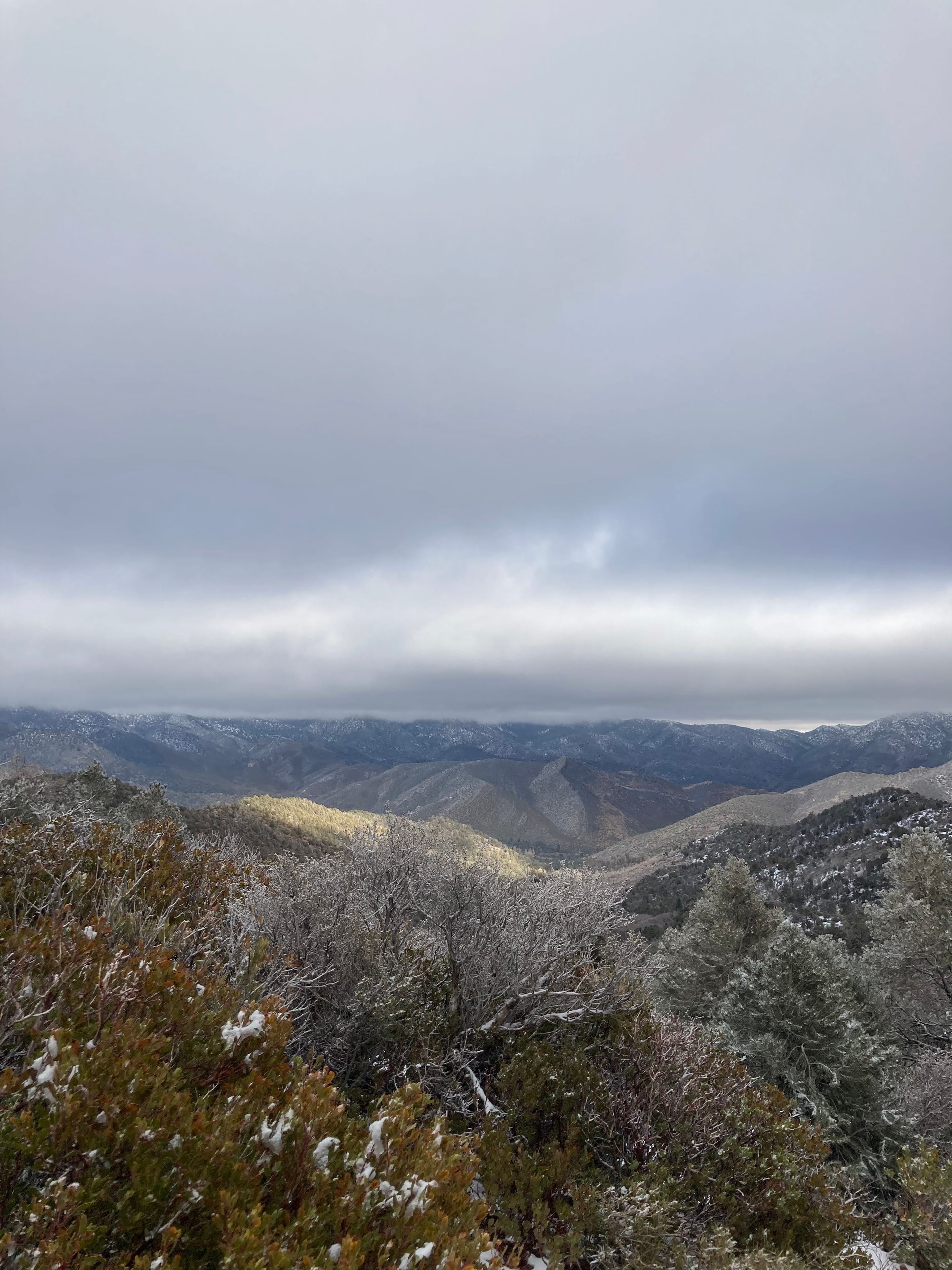 0A1343E8-BCDC-422C-BD9F-3D9D1400D882.jpeg