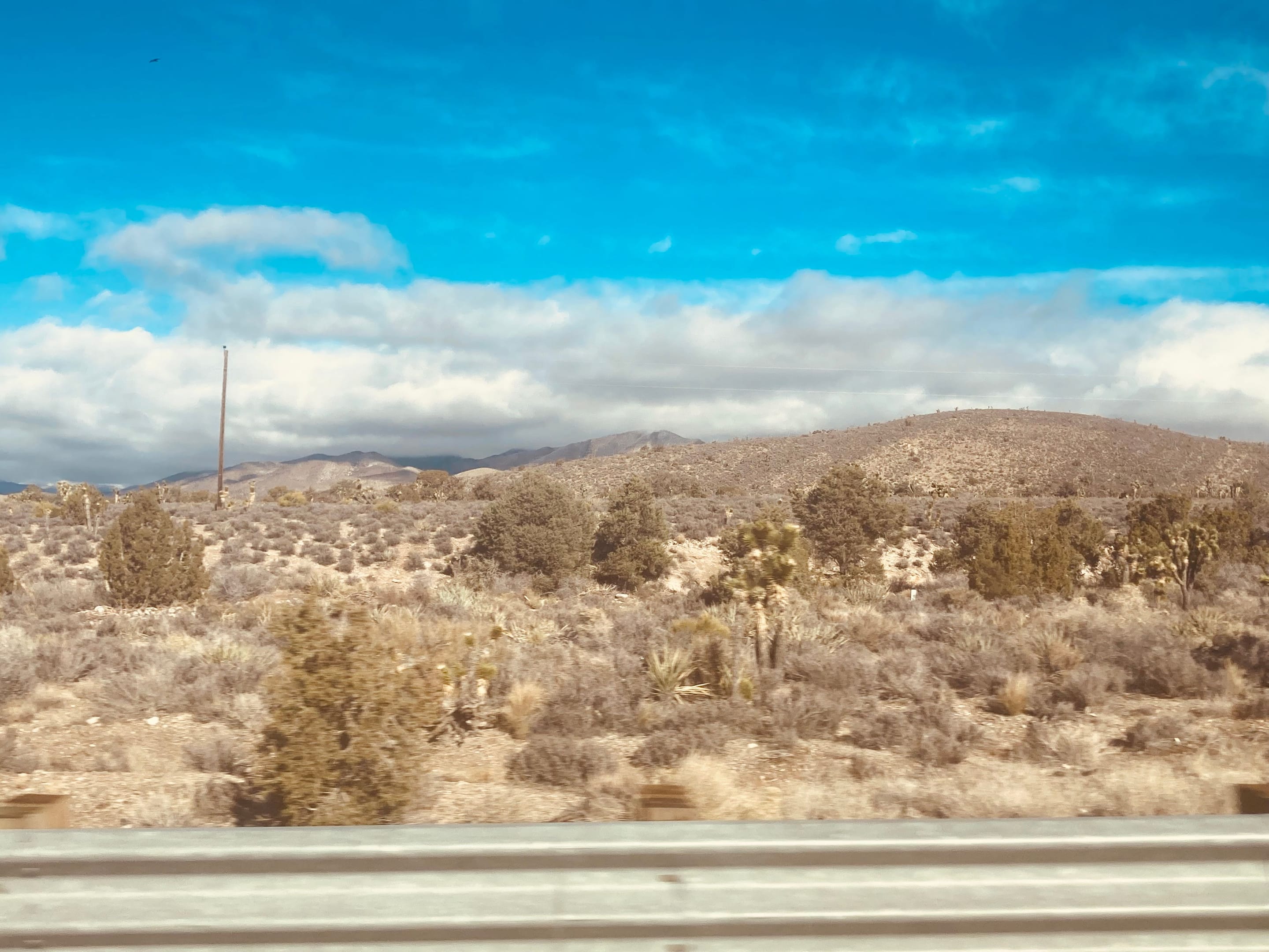 29E1C2FC-D895-4795-BC29-EDDF95DE2E87.jpeg