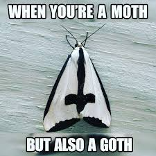 Goth Meme Collection.png