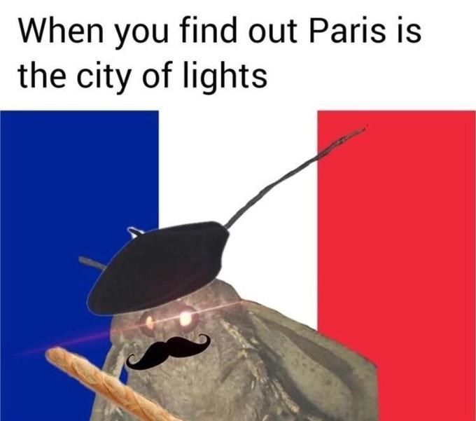 18 More Of These Absolutely Unstoppable Moth Memes.jpeg