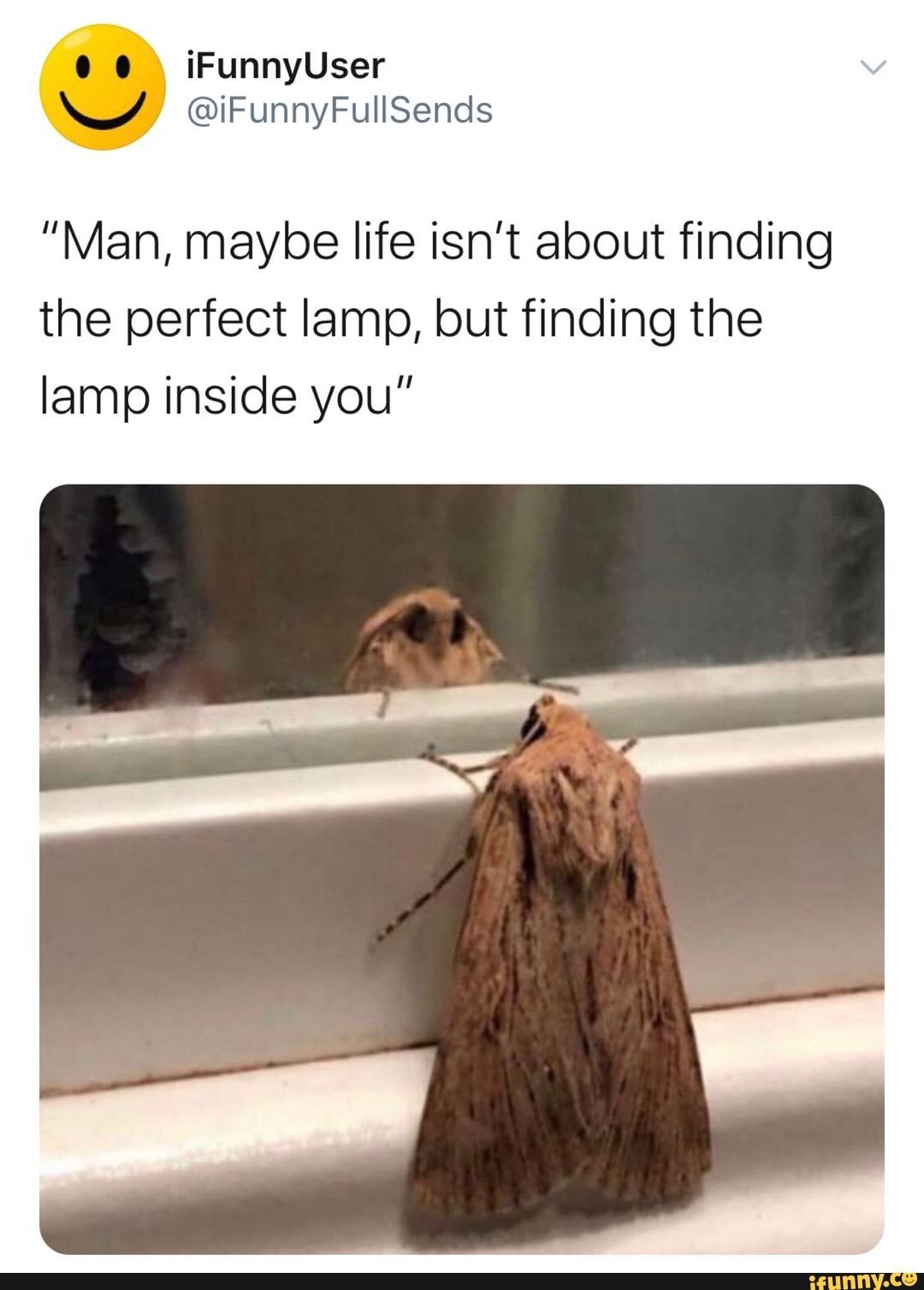 Man, maybe life isn't about finding the perfect lamp, but finding the lamp inside you - ).jpeg