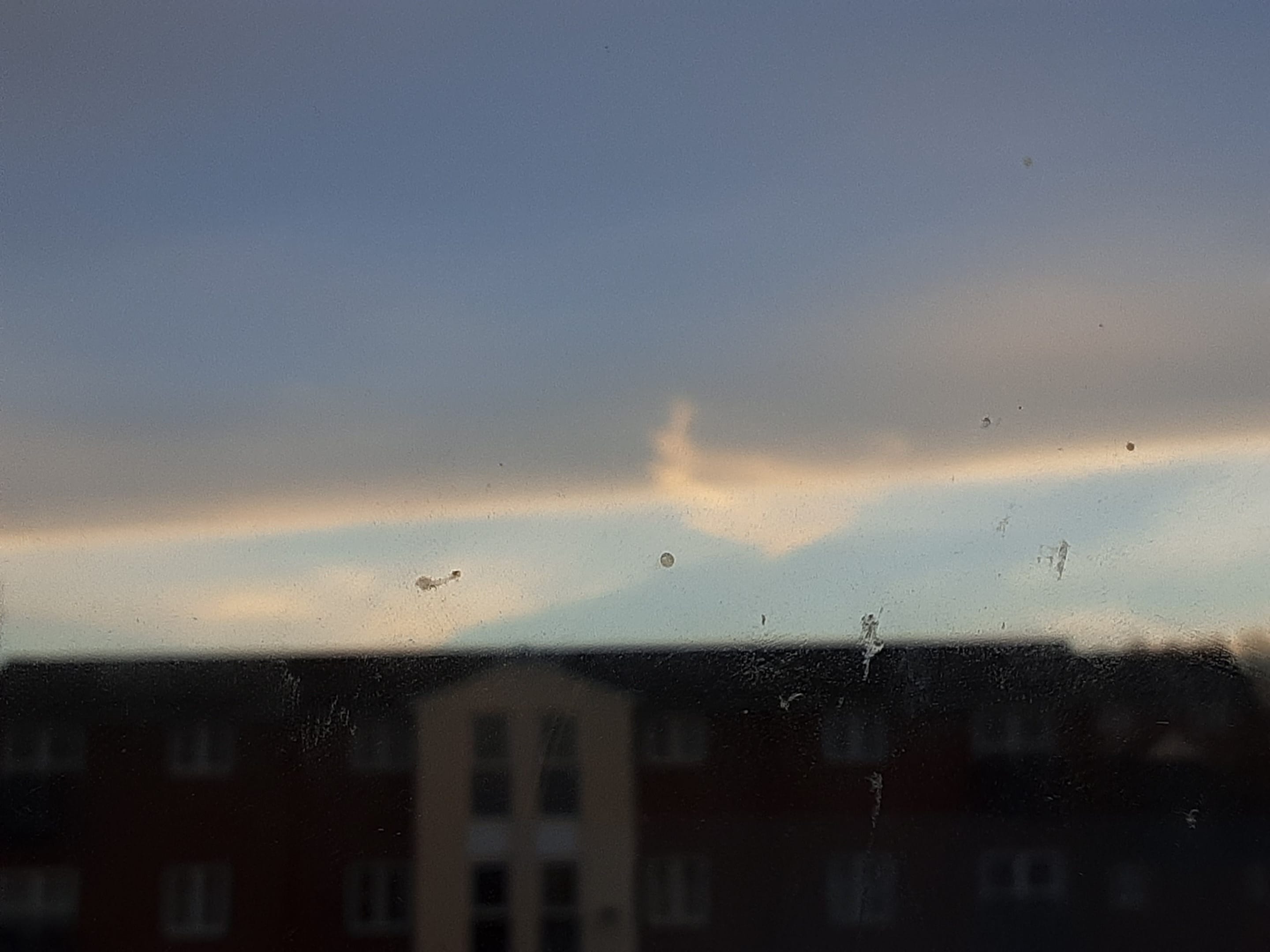 20230205_164636.jpg