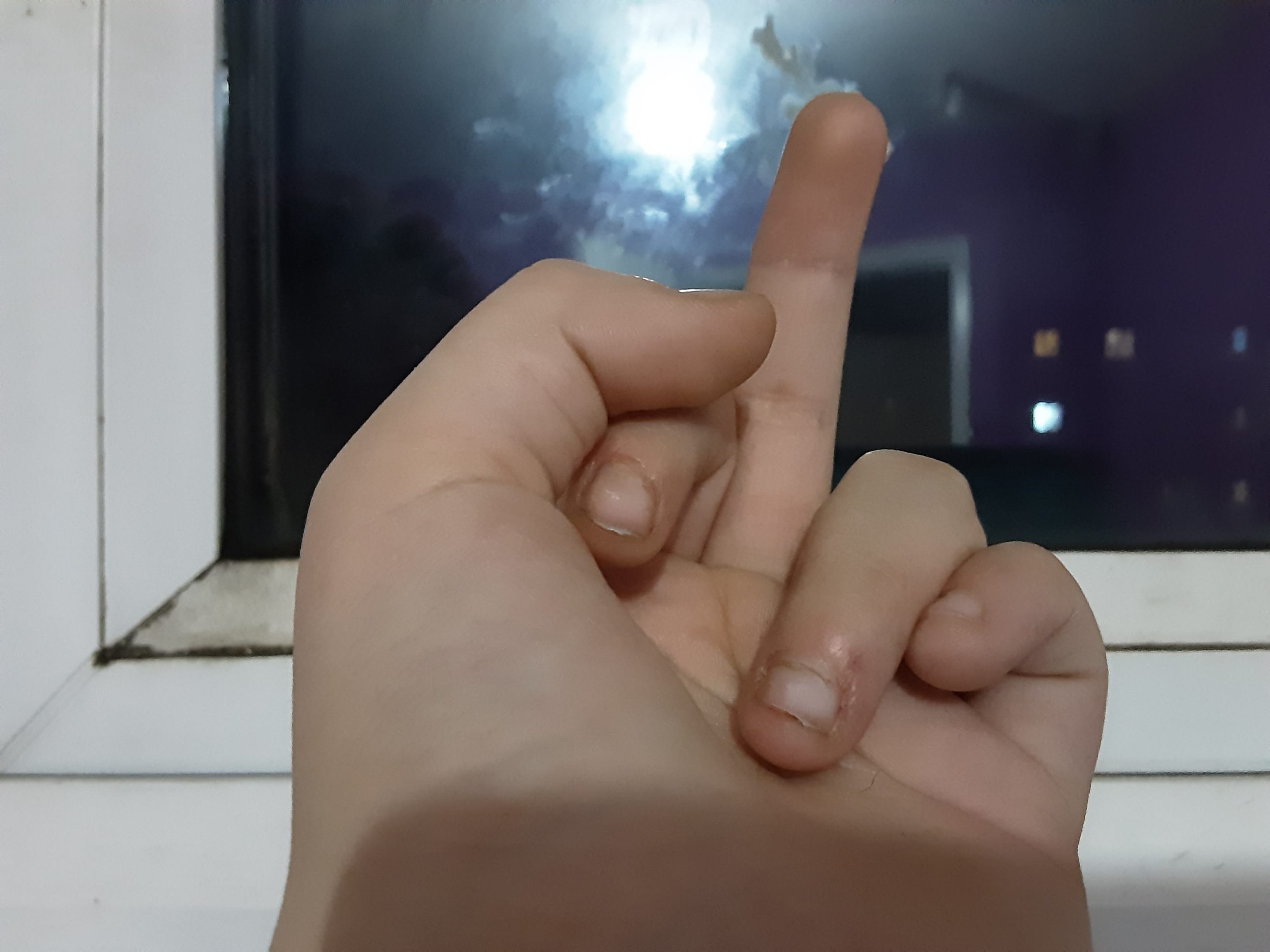 20230205_180218.jpg