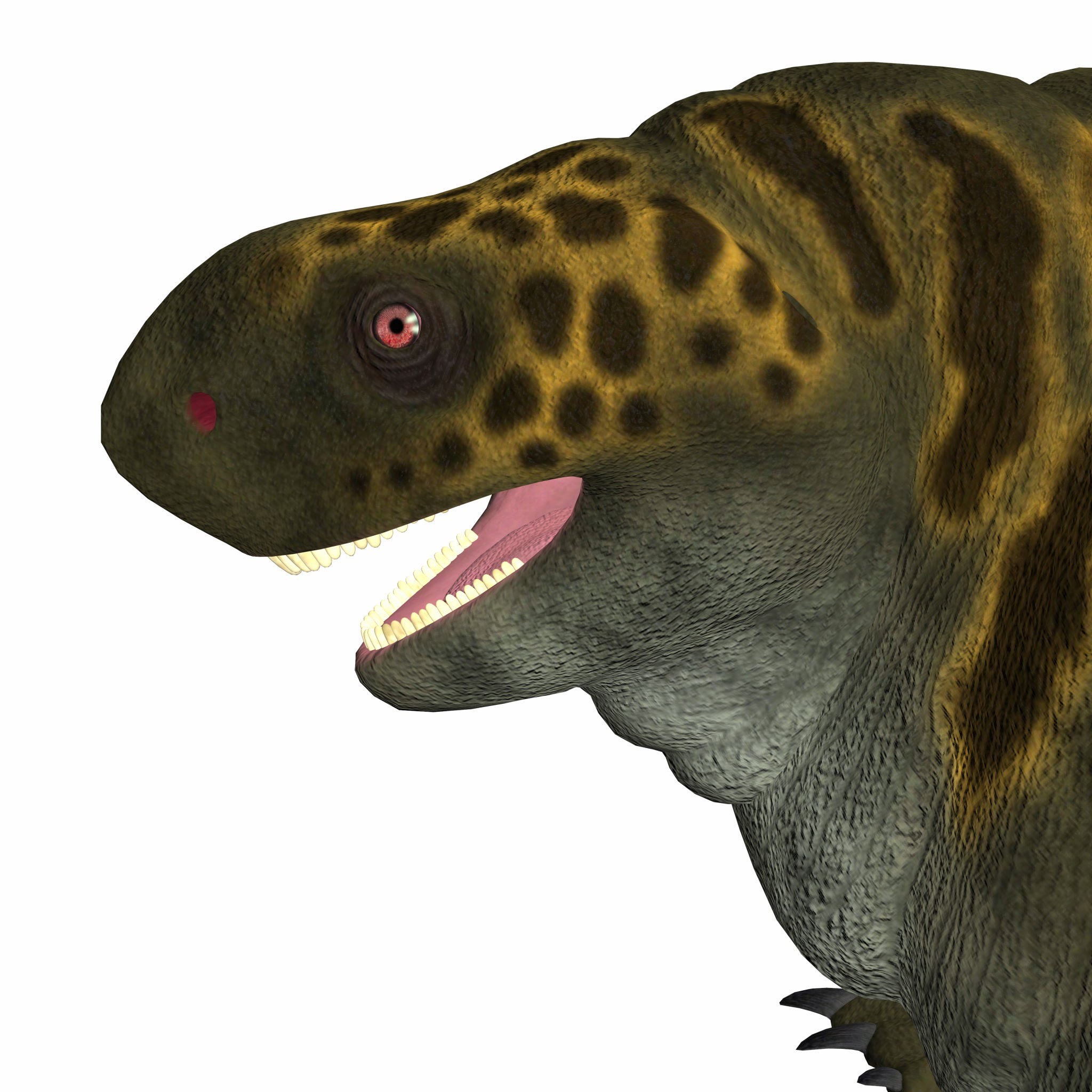 08b5b657-1deb-455d-b6b8-73ba06a7be60-image.png