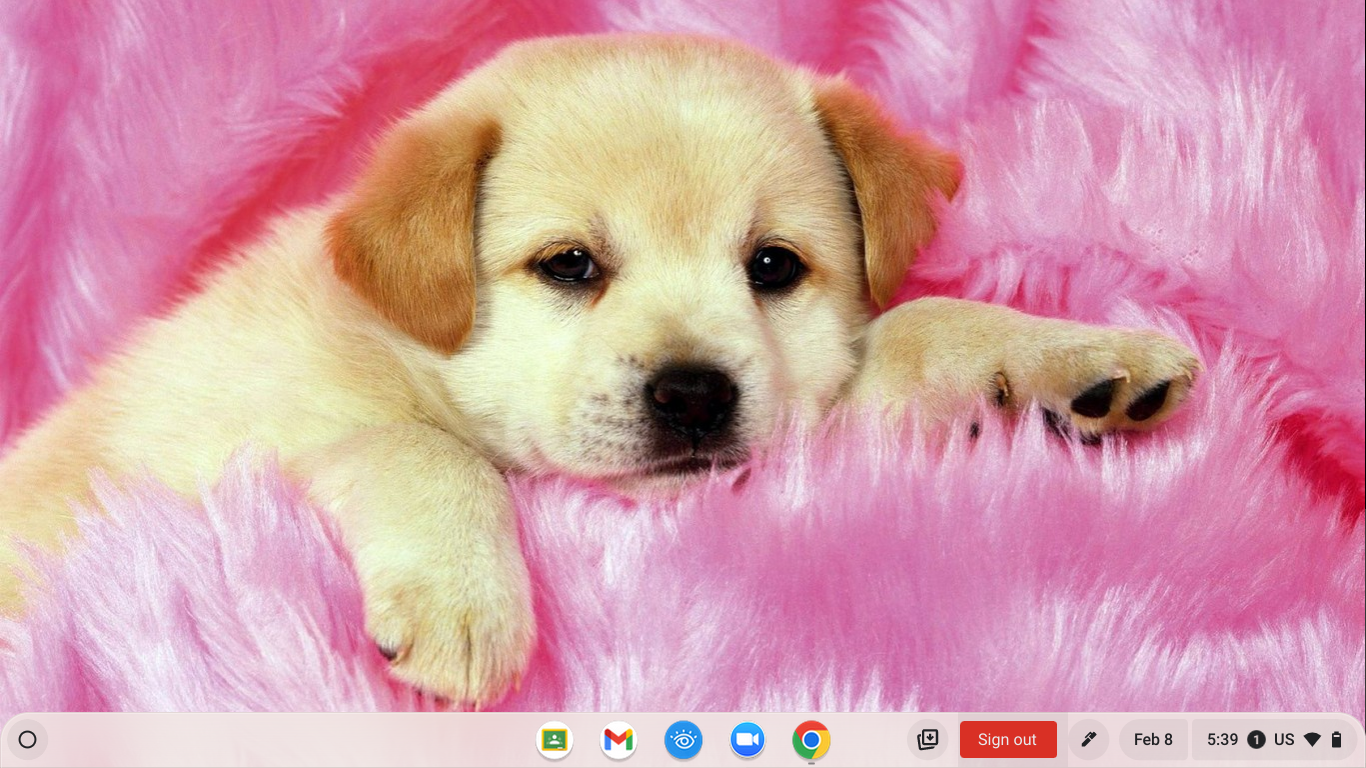 Screenshot 2023-02-08 5.39.51 AM.png