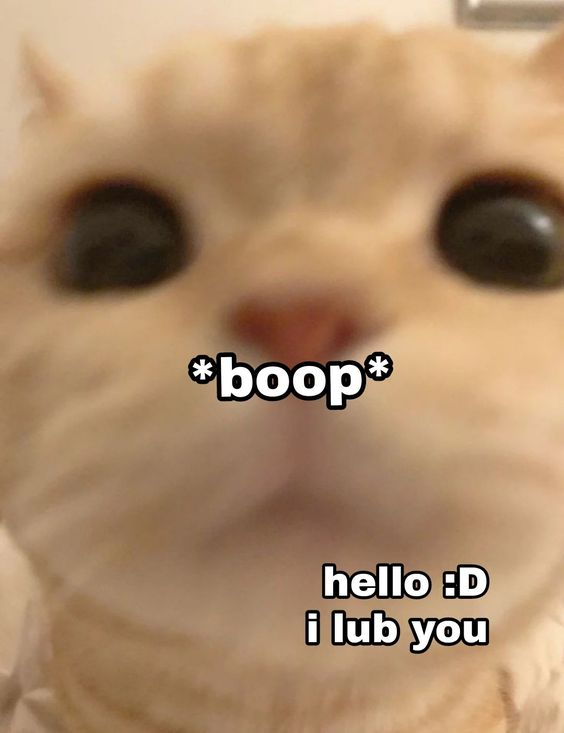 e2712ddc-fd3b-43a3-ad95-bbc867899004-image.png