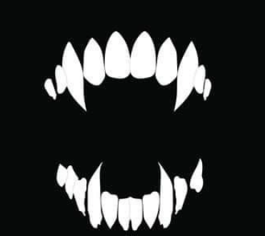 c67d5ff4-6325-48a8-88a5-f8986ec219c3-image.png