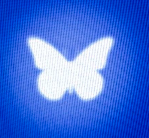 0e9225d6-195f-4b81-8dc3-9ee10797f909-image.png