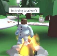images (15).jpeg