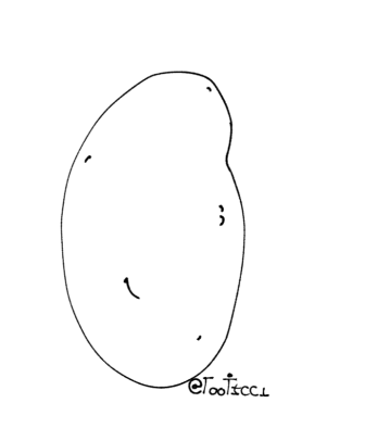 c88558eb-7da5-4bec-b8b0-4de73765826e-image.png