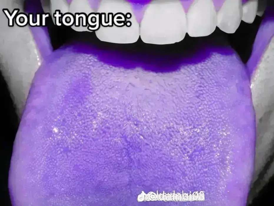 Snapchat-157949357.jpg